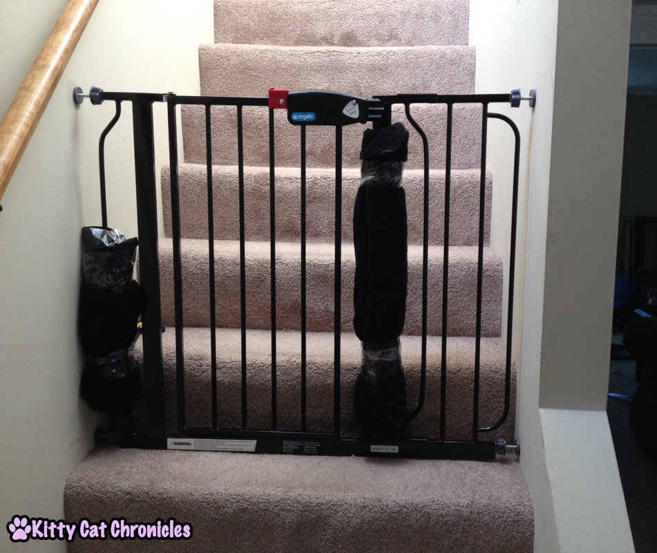 3 Ways to Make Life Easier for a CH Kitty - Baby Gate