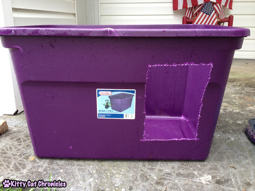 3 Ways to Make Life Easier for a CH Kitty - Homemade Litter Box