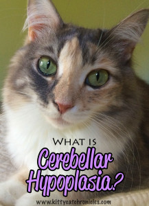 What is Cerebellar Hypoplasia?