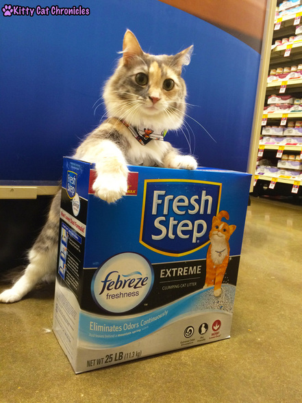 The KCC Cat Litter Check List | #FreshStepFebreze - Sophie in PetSmart with Fresh Step