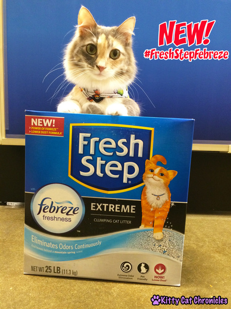 The KCC Cat Litter Check List | Fresh Step with the Power of Febreze