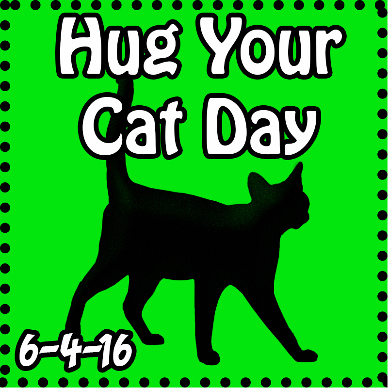 Hug Your Cat Day 2016