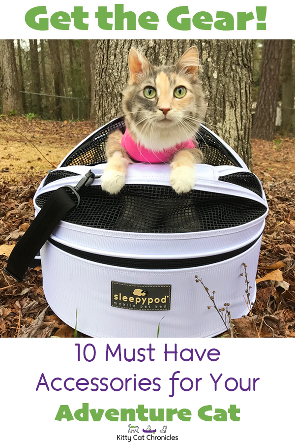 Get the Gear: 10 Must Have Accessories for Your Adventure Cat - cat in Sleepypod