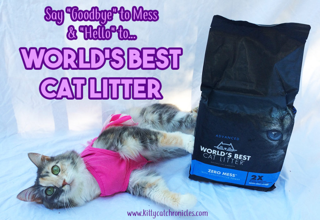 Say "Goodbye" to Mess and "Hello" to World's Best Cat Litter | #alitterbitamazing