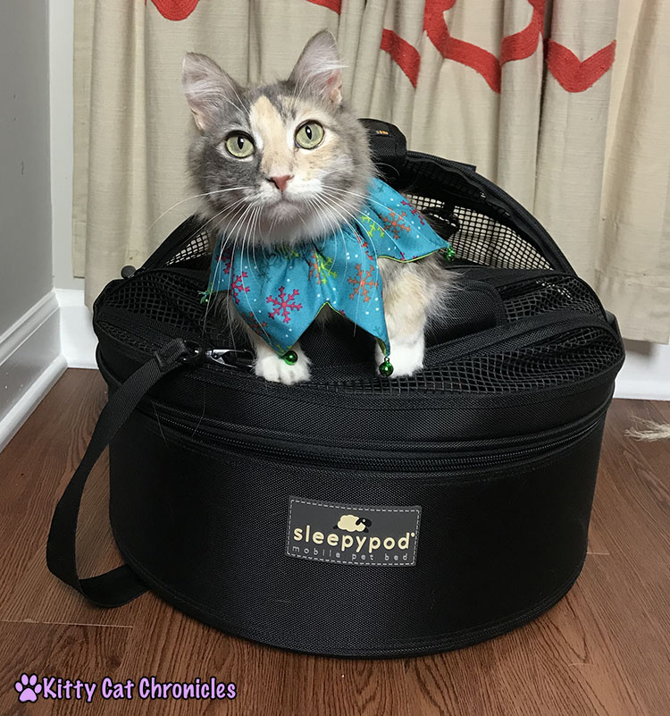The 2017 KCC Adventure Cat Holiday Gift Guide - Sleepypod Mobile Pet Bed