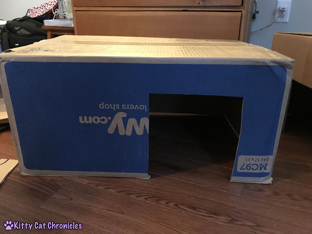How to Make a Cardboard Box Fort for Your Cat! - boxes