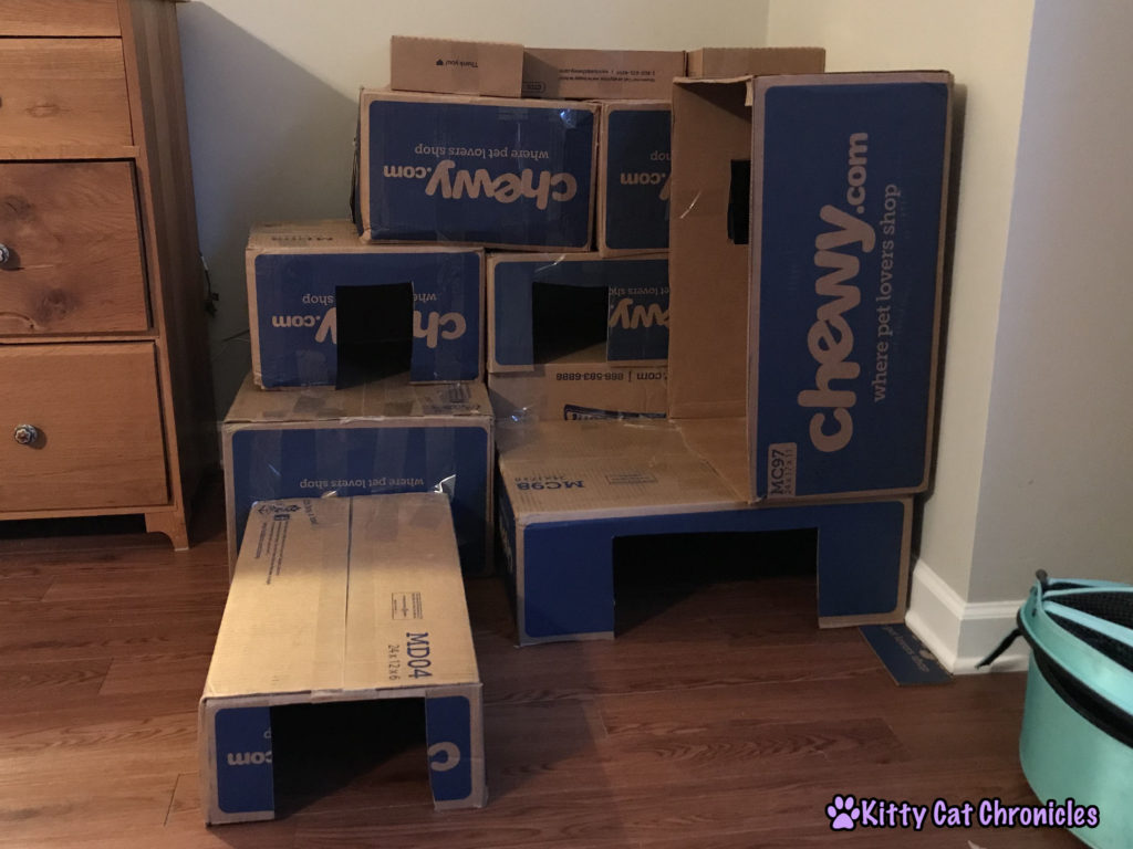 How to Make a Cardboard Box Fort for Your Cat! - the finished cat castle