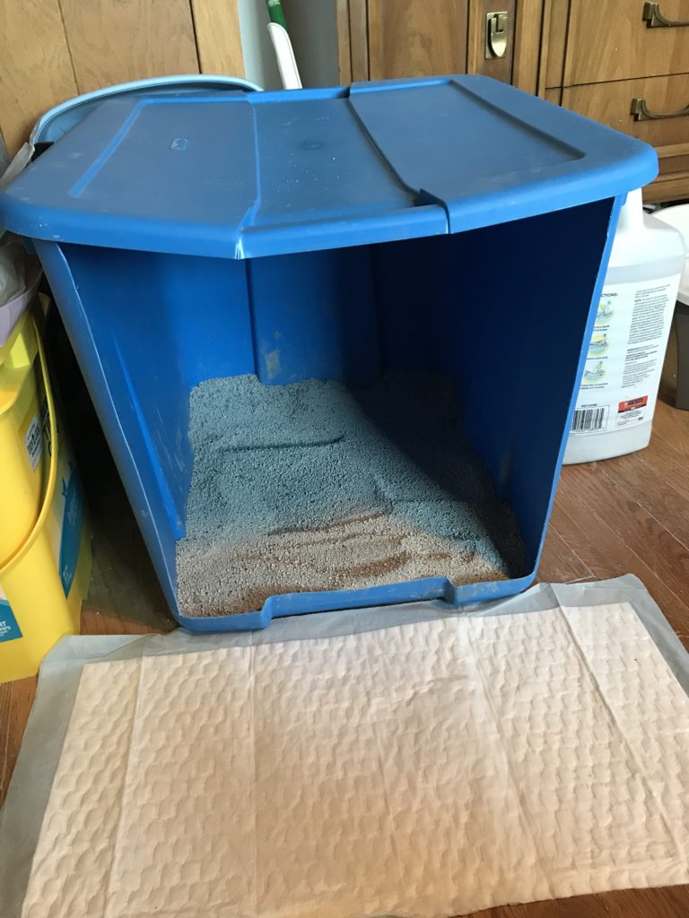 Mr. Wobbles - custom litter box for CH cat