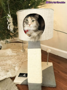 The 2018 KCC Holiday Gift Guide for Adventure Cats - Practical Cats Minimalist Cat Condo