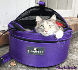 The 2018 KCC Holiday Gift Guide for Adventure Cats - Sleepypod