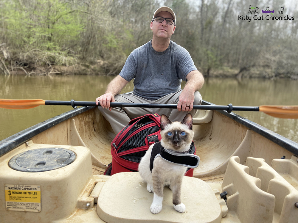 Our Athens Getaway - cat on a canoe