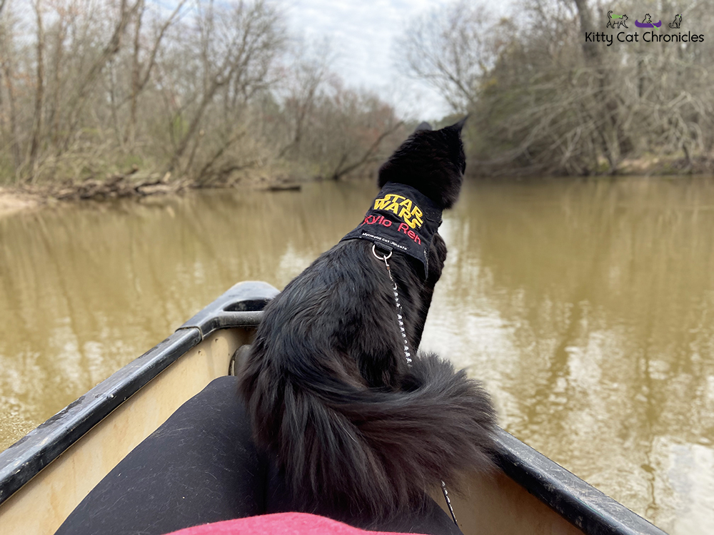 Our Athens Getaway - black cat on a canoe