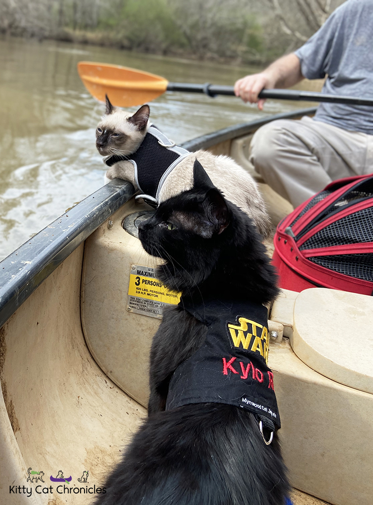 Our Athens Getaway - canoeing cats