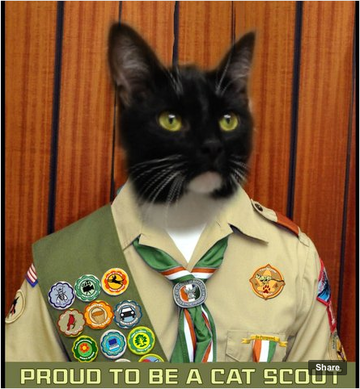 Sampson in His Cat Scout Uniform
