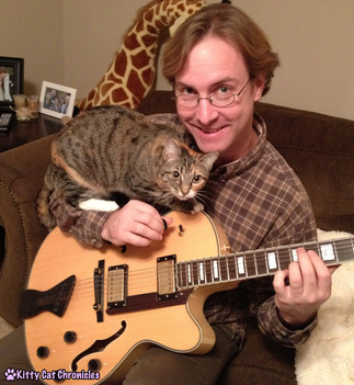 Adopt-a-Shelter-Cat Month: 12 Reasons to Adopt a Cat! - Cat Playing Guitar