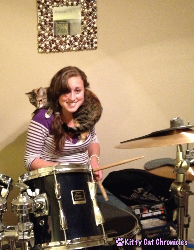 Delilah the Drumming Cat