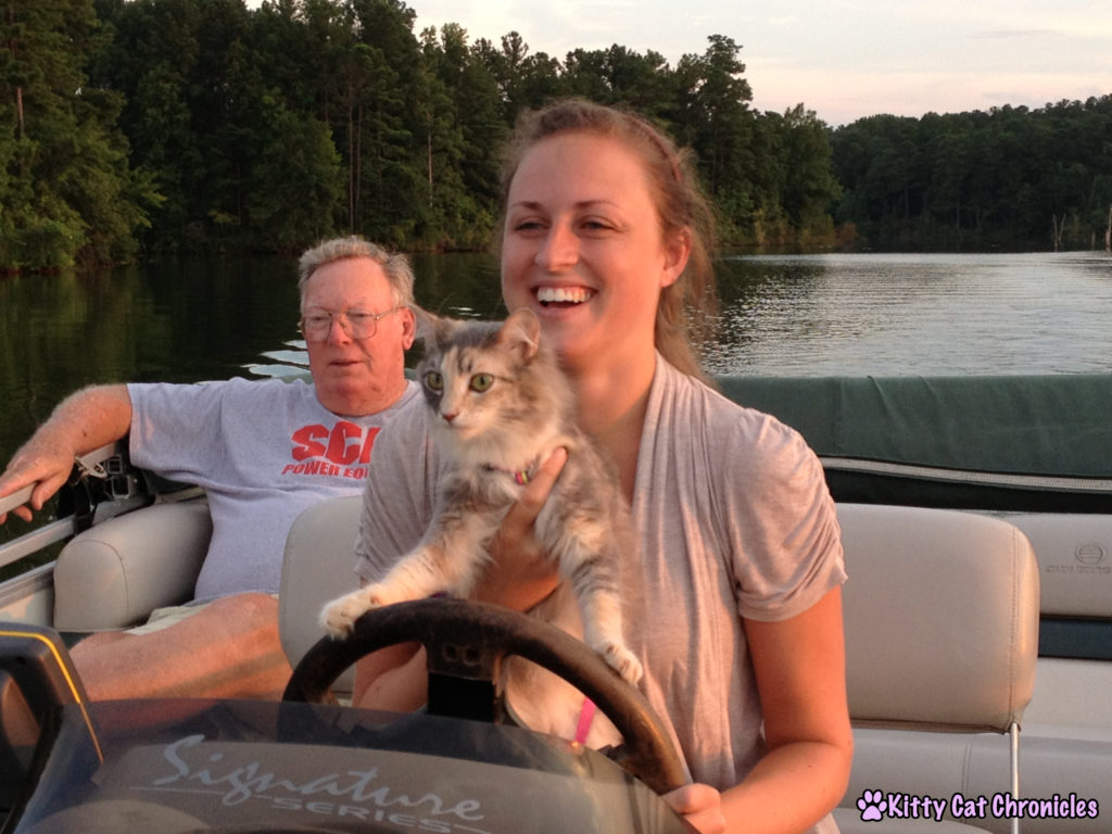 Sophie Cat on a Boat