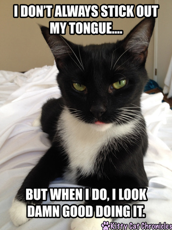 Tuxie Tuesday: Sampson Cat Meme