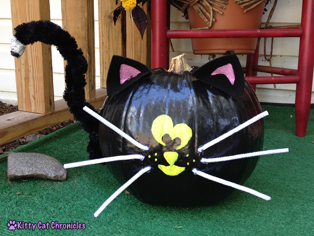 Halloween DIY Project: Painted Cat Pumpkins - black cat painted pumpkin