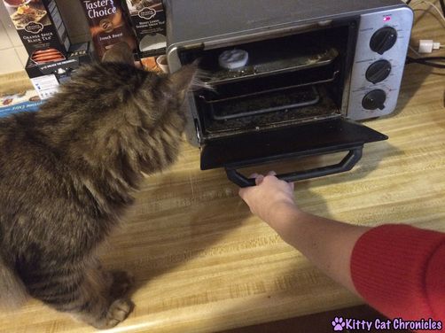 Photo: Caster helping to bake his ornament