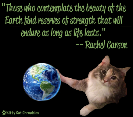 Earth Day Quote