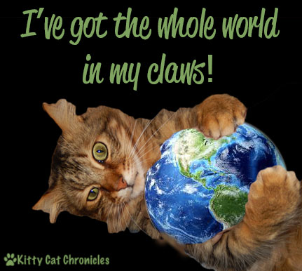 Earth Day - cat and world
