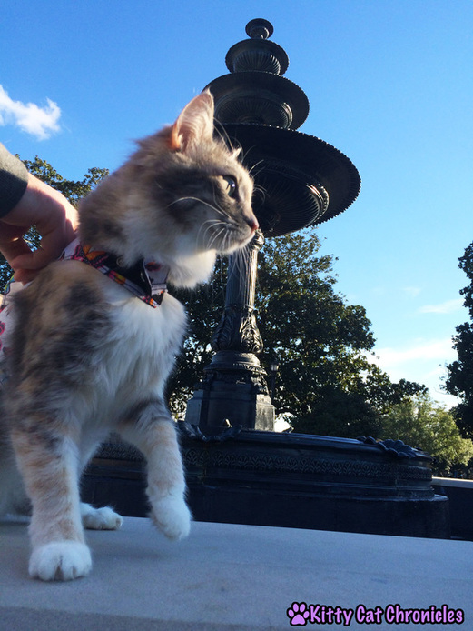 Wordless on #WobblyWednesday: A Day in the Park with Sophie & Lucy - Sophie at the Fountain