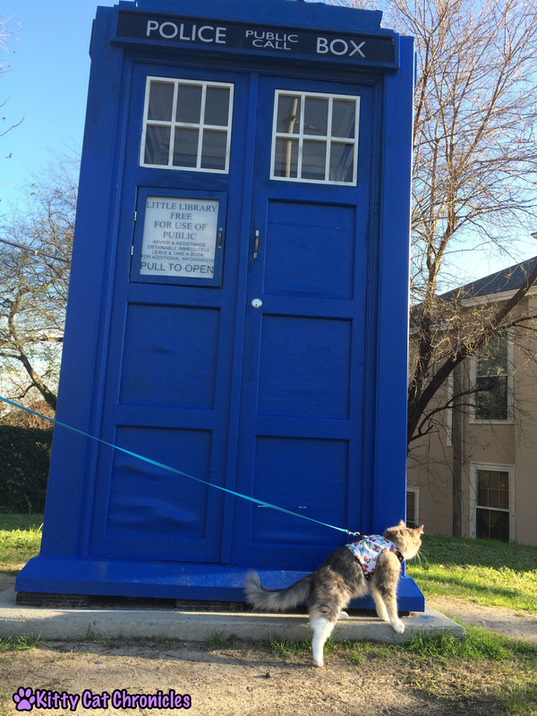 Wordless on #WobblyWednesday: A Day in the Park with Sophie & Lucy - Sophie at the Tardis