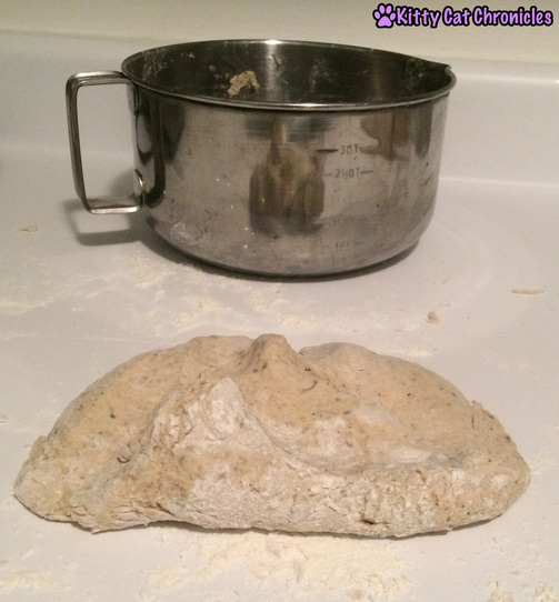 cat treat dough