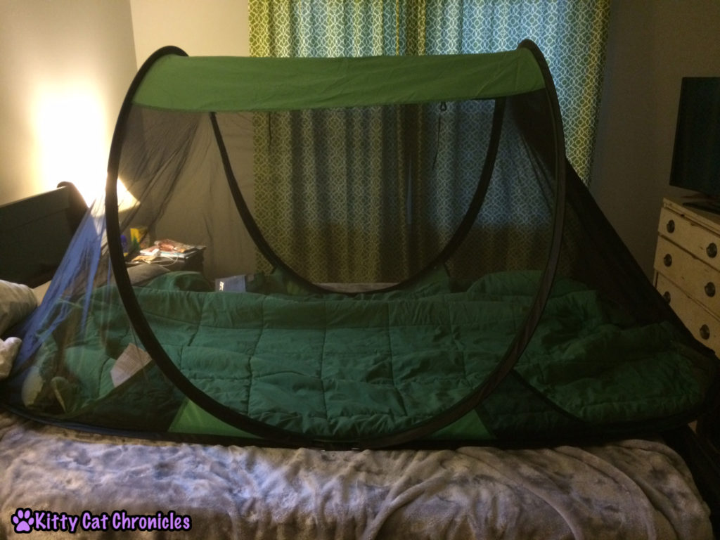 pop up tent for sugar gliders