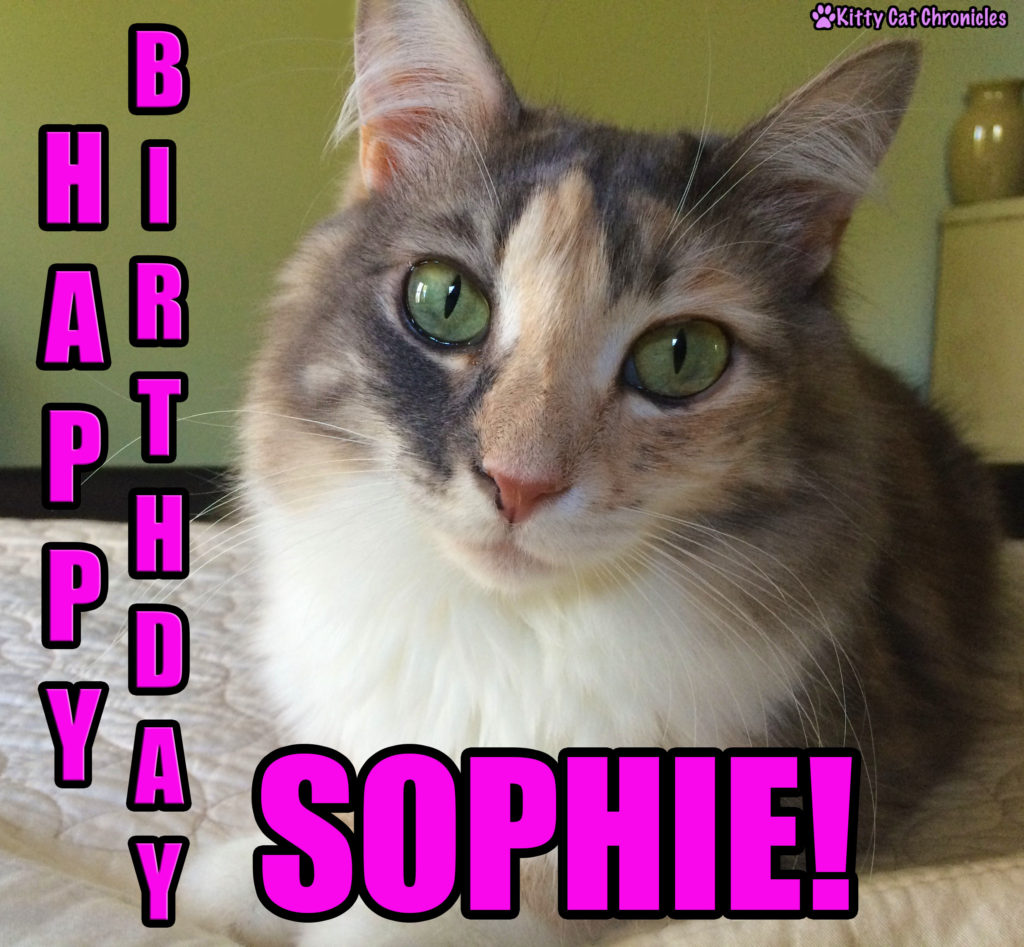 Sophie's 4th Birthday