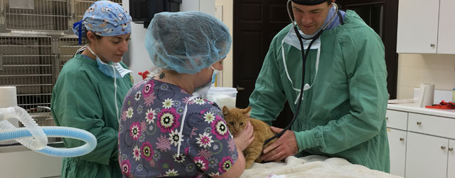 Dr. Butler Caldwell - Our Veterinarian