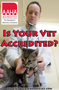 Is Your Vet AAHA Accredited?