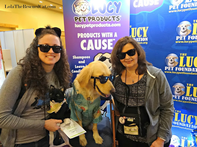 Me and my conference roommate Dawn (Lola the Rescued Cat) with Jack from the Lucy Pet Foundation