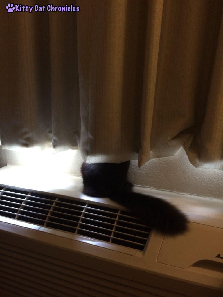 Kylo Ren in the Hotel Window