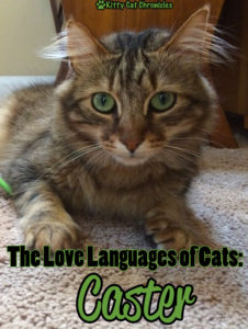 The Love Languages of Cats: Caster