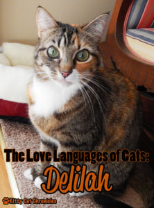 The Love Languages of Cats: Delilah