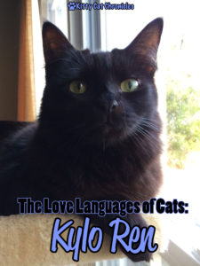 The Love Languages of Cats: Kylo Ren