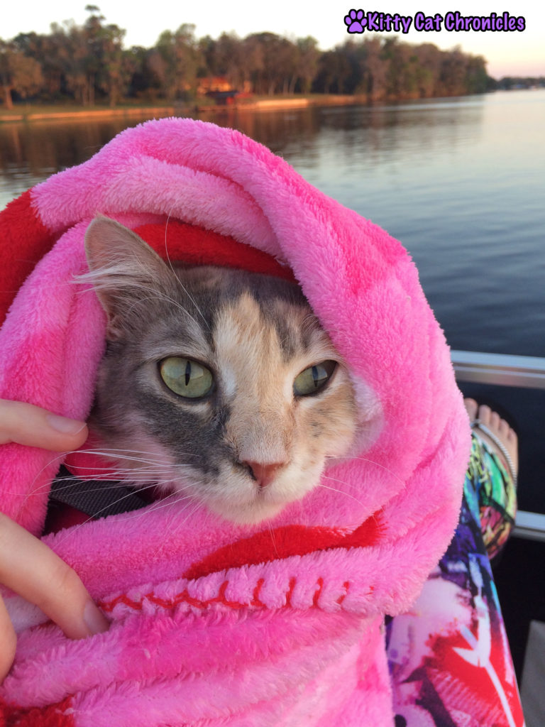 Wordless Wednesday: Welaka, Sophie on a boat