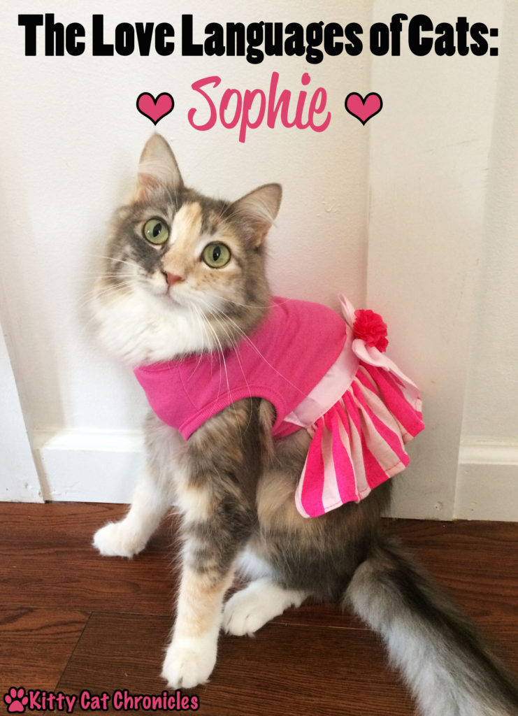 The Love Languages of Cats: Sophie