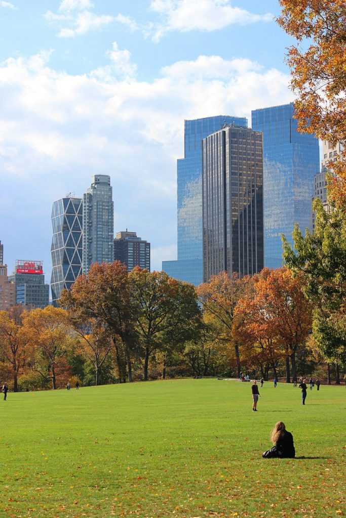 Best Places for Cat Lovers & Adventure Cats: Central Park, New York City