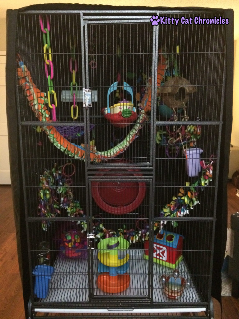 Jubilee and Sydney's Sugar Glider Cage