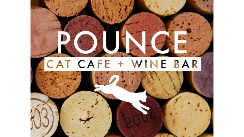 Best Cities for Cat Lovers & Adventure Cats: Charleston, SC - Pounce Cat Cafe + Wine Bar