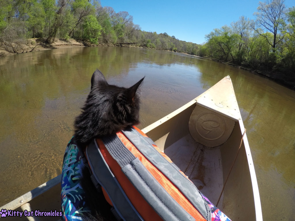 Hiking & Canoeing with Kylo Ren, Adventure Cat