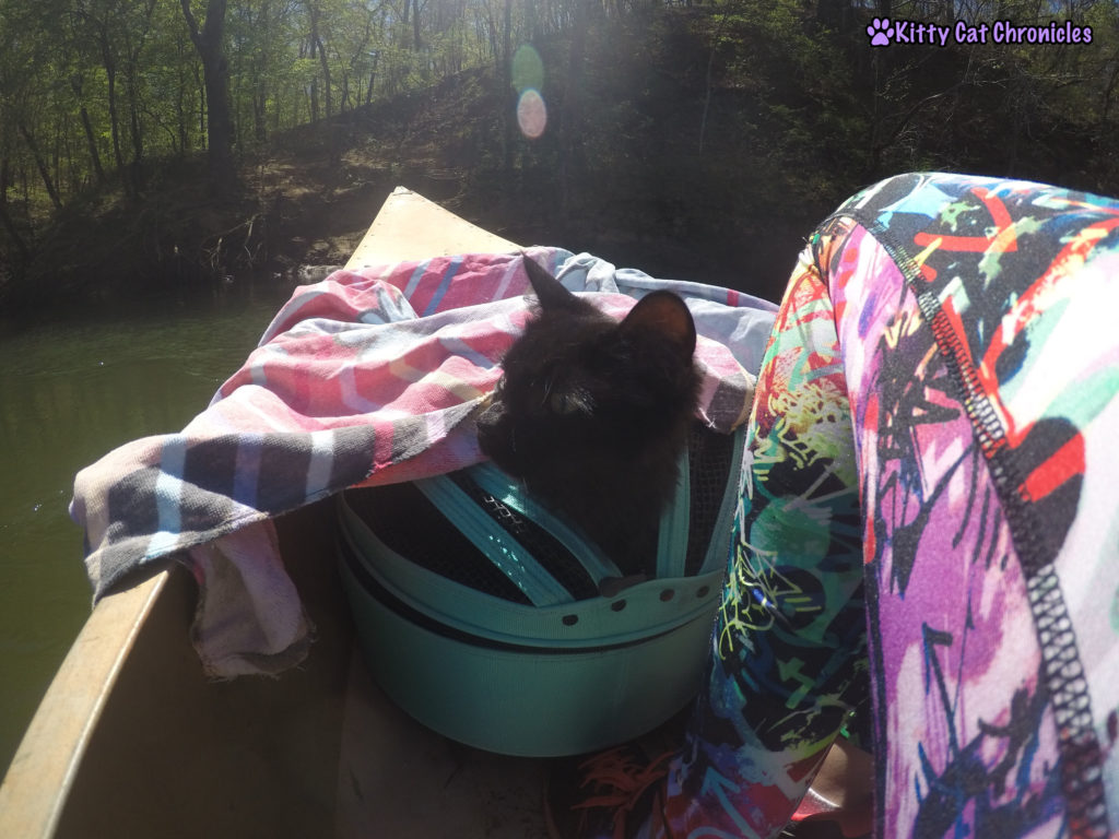 Hiking & Canoeing with Kylo Ren, Adventure Cat