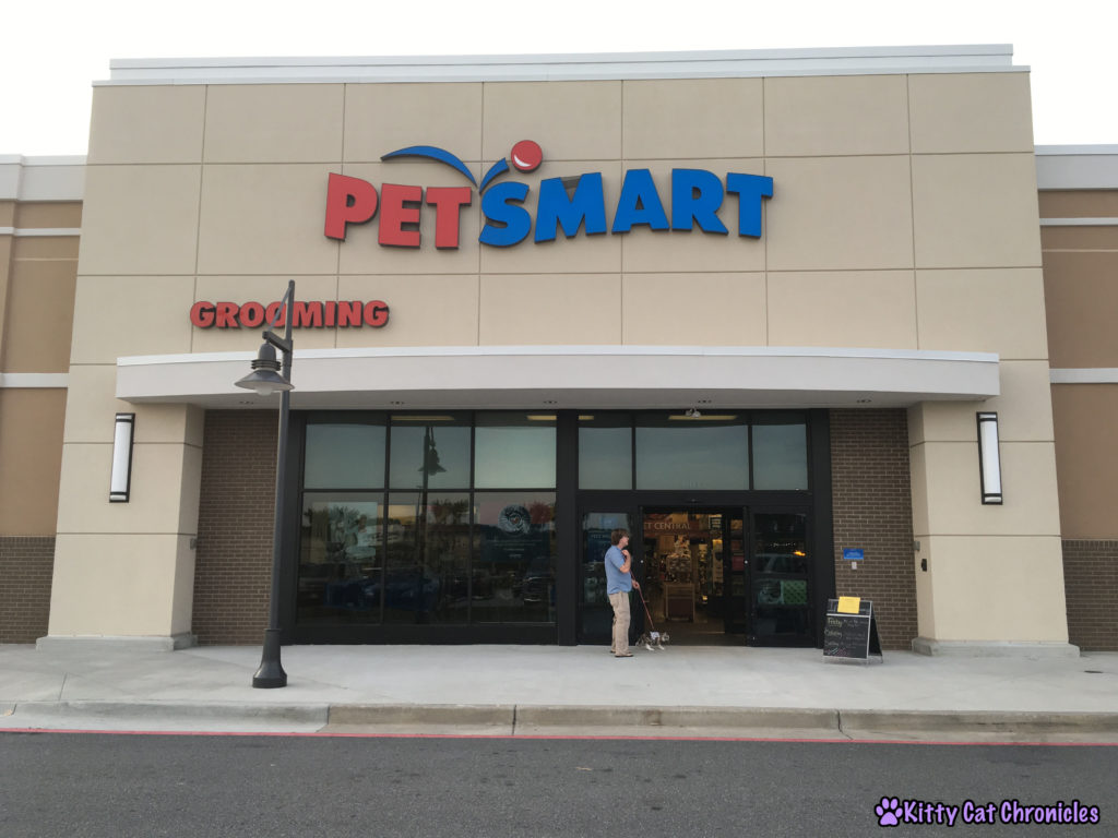 Celebrate the Year of the Cat with Wellness: Sophie at Petsmart