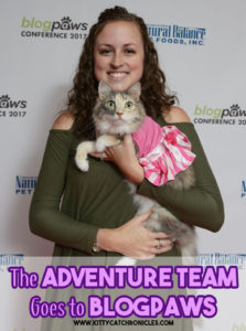 The Adventure Team Goes to BlogPaws
