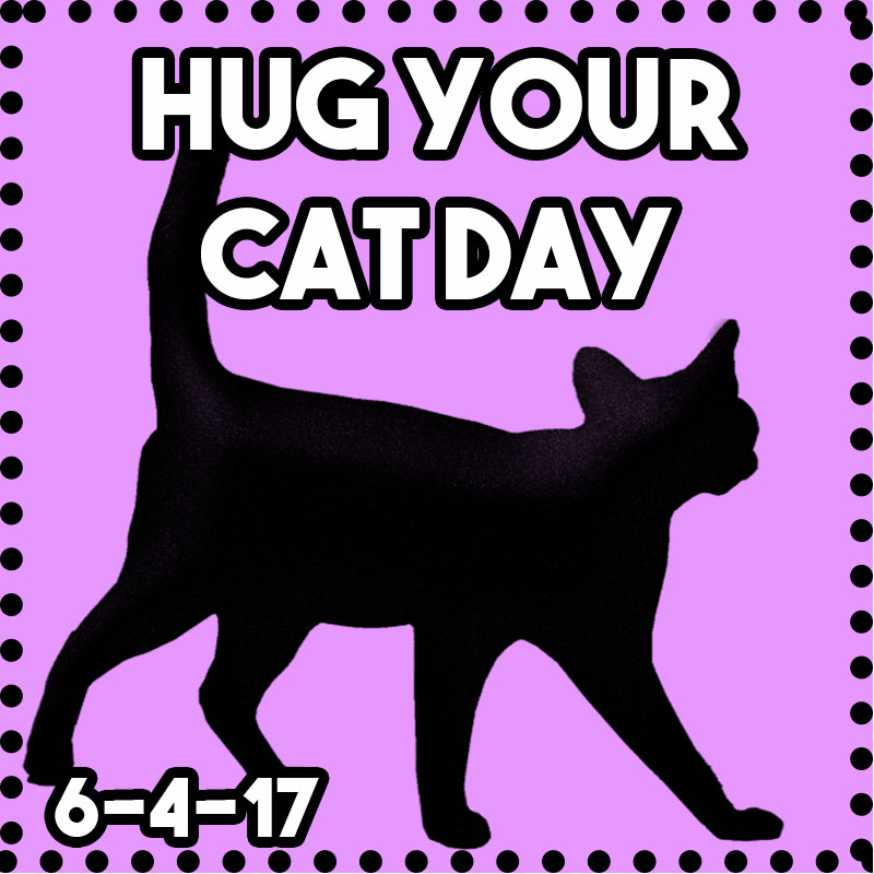 Hug Your Cat Day 2017