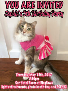 You are Invited to Sophie's 5th Birthday Party!