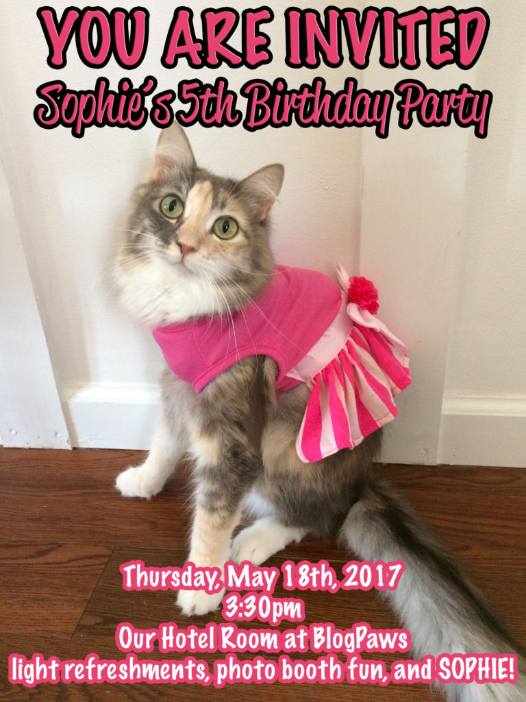 You are Invited to Sophie's 5th Birthday Party!